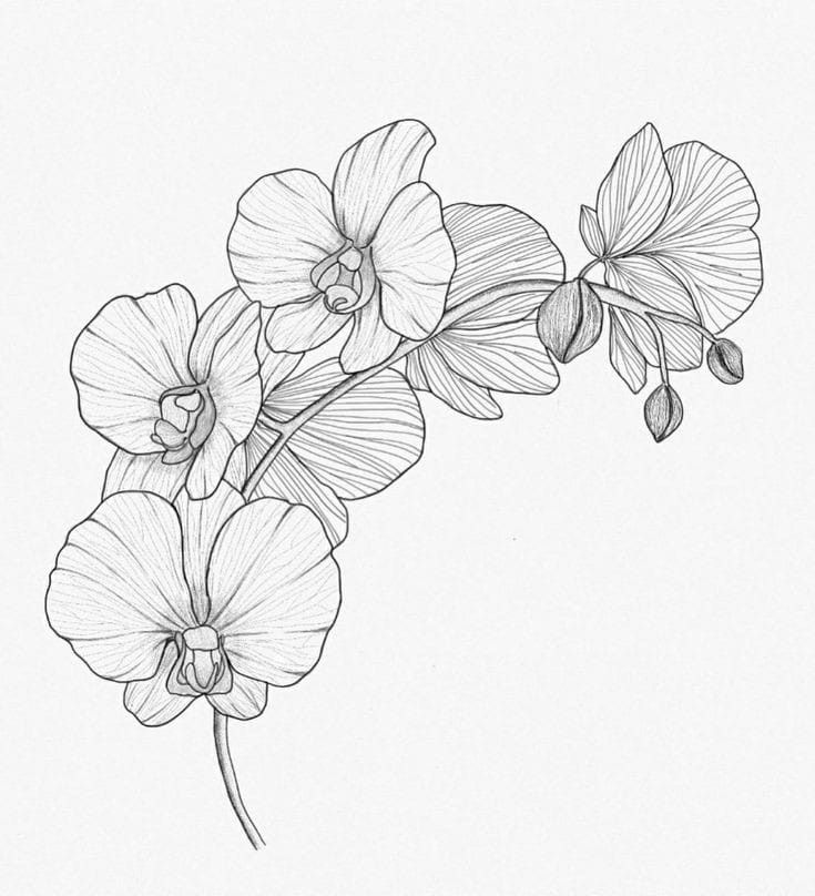 Wisteria Tattoos 108