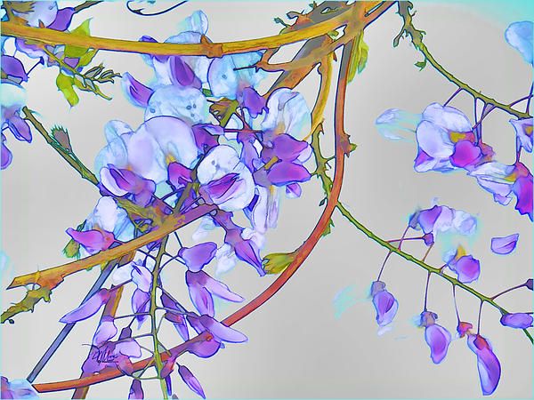 Wisteria Tattoos 111