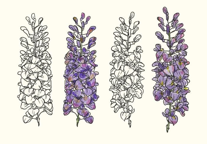 Wisteria Tattoos 113