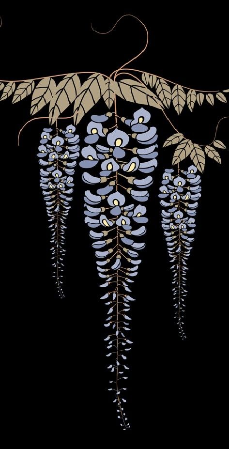 Wisteria Tattoos 121