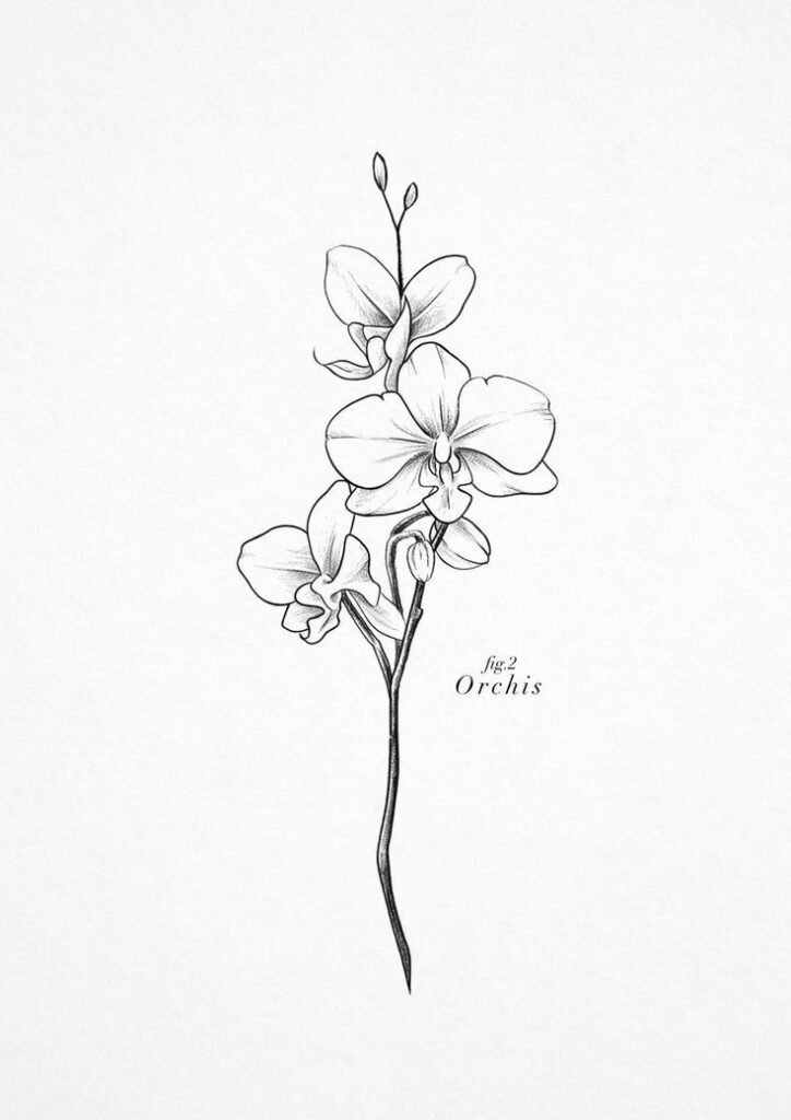 Wisteria Tattoos 136