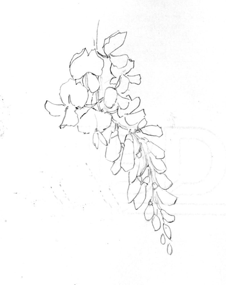 Wisteria Tattoos 154