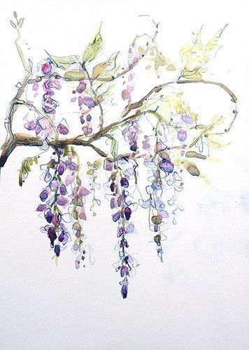 Wisteria Tattoos 158