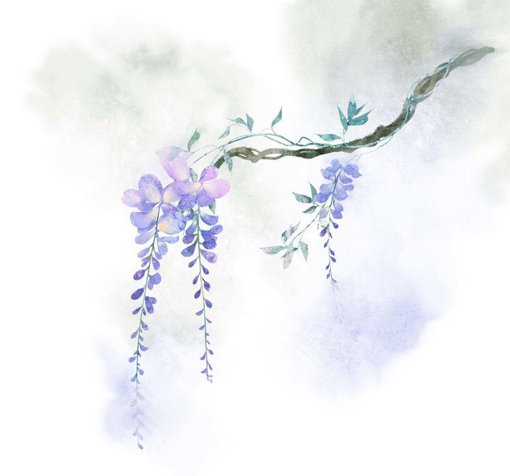 Wisteria Tattoos 159