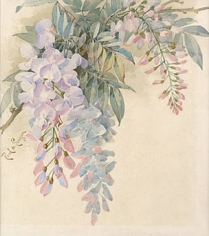 Wisteria Tattoos 168