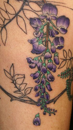 Wisteria Tattoos 172