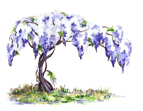 Wisteria Tattoos 175