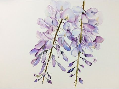 Wisteria Tattoos 178