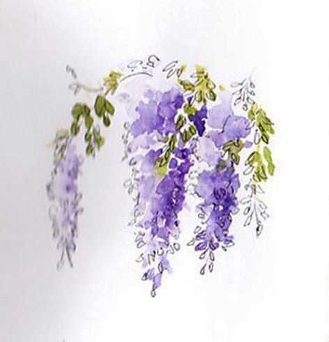 Wisteria Tattoos 181