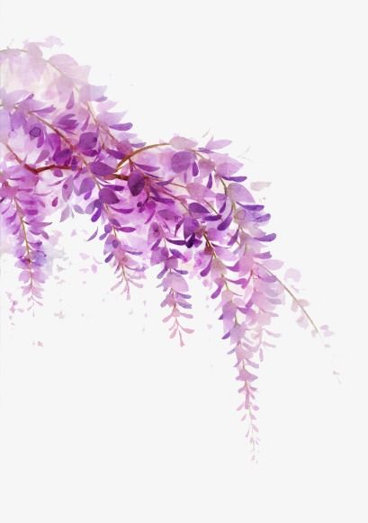 Wisteria Tattoos 184