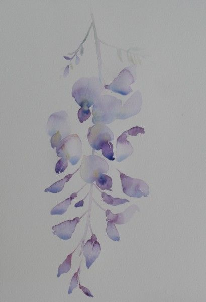 Wisteria Tattoos 189