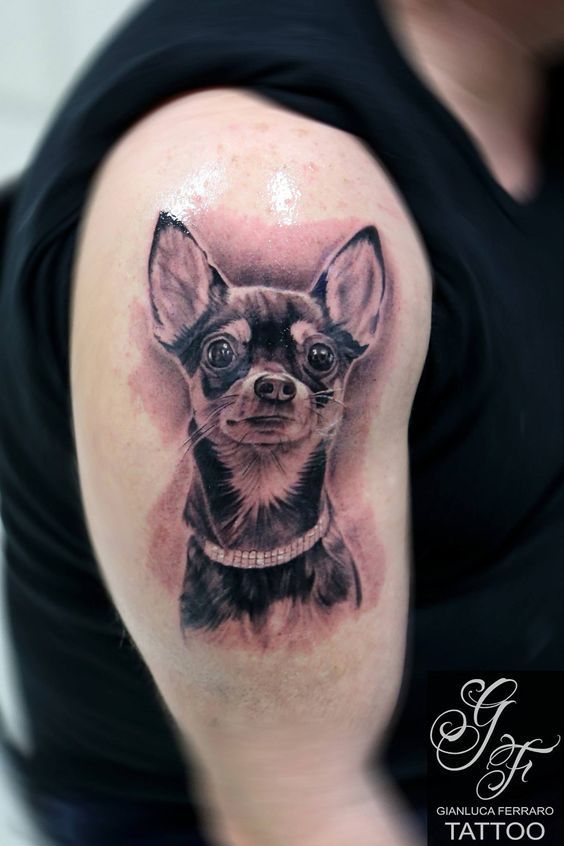 Beginner Tattoo 111