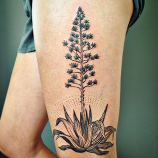 Desert Tattoos 255
