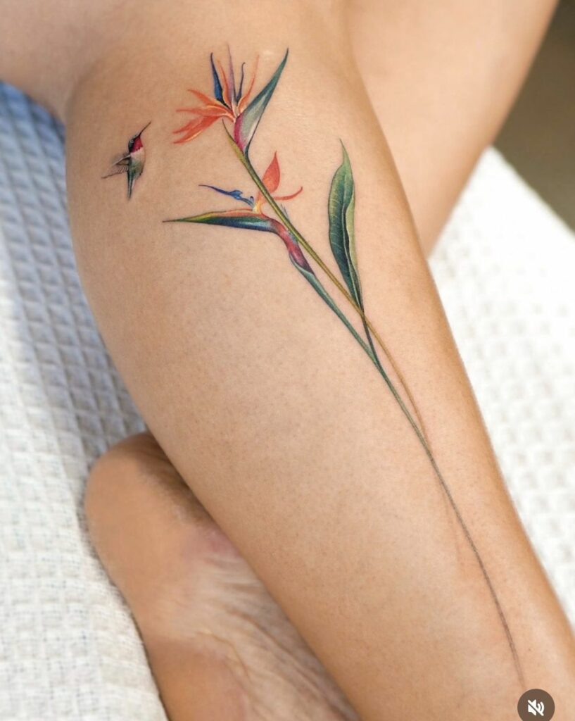150+ Attractive Bird of Paradise Tattoo Ideas (2024) - TattoosBoyGirl