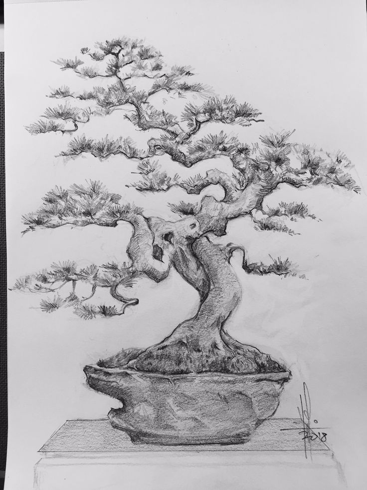 200+ Beautiful Bonsai Tree Tattoos (2024) - TattoosBoyGirl