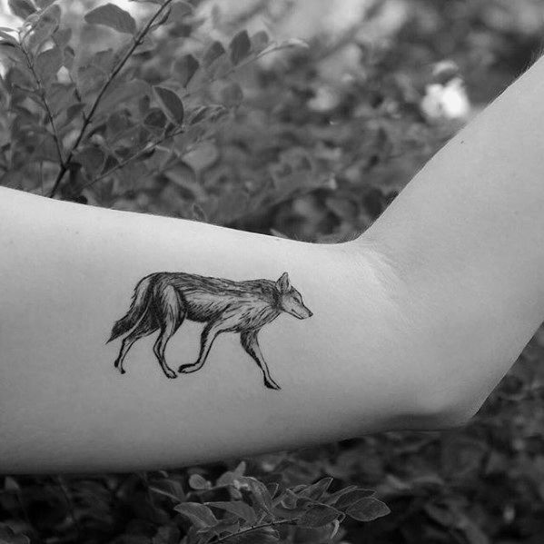 Coyote Tattoos 149
