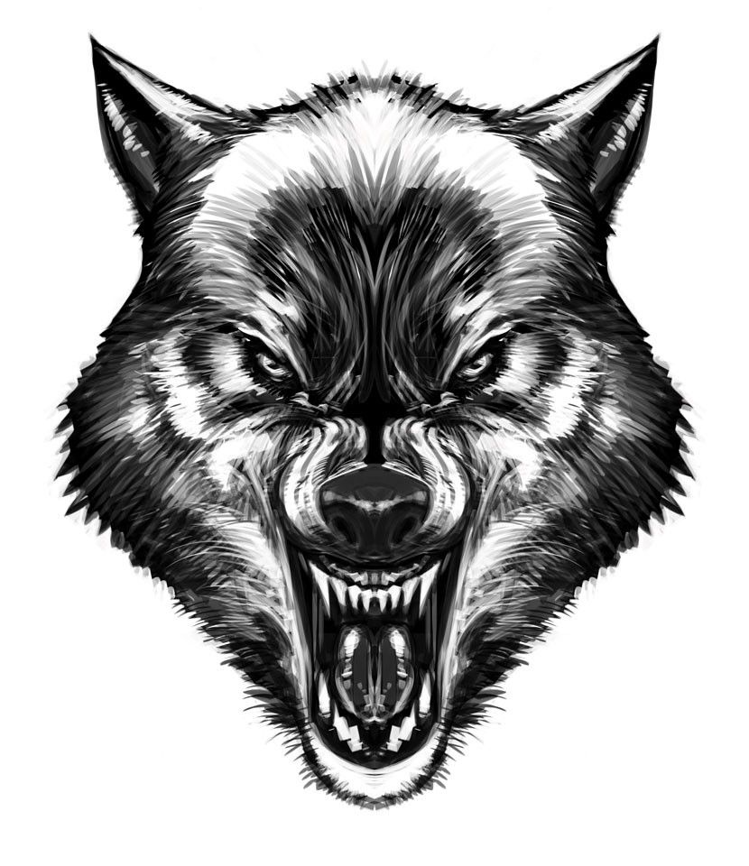 Coyote Tattoos 66