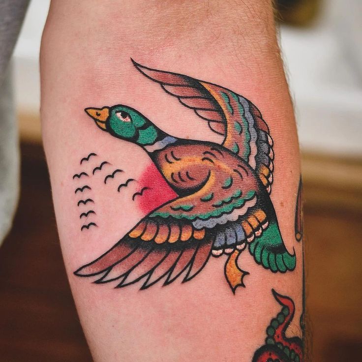 Duck Tattoo 109