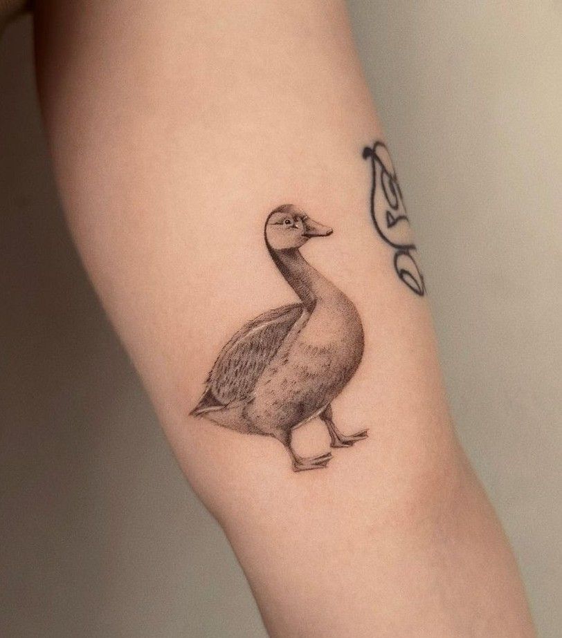 Duck Tattoo 114