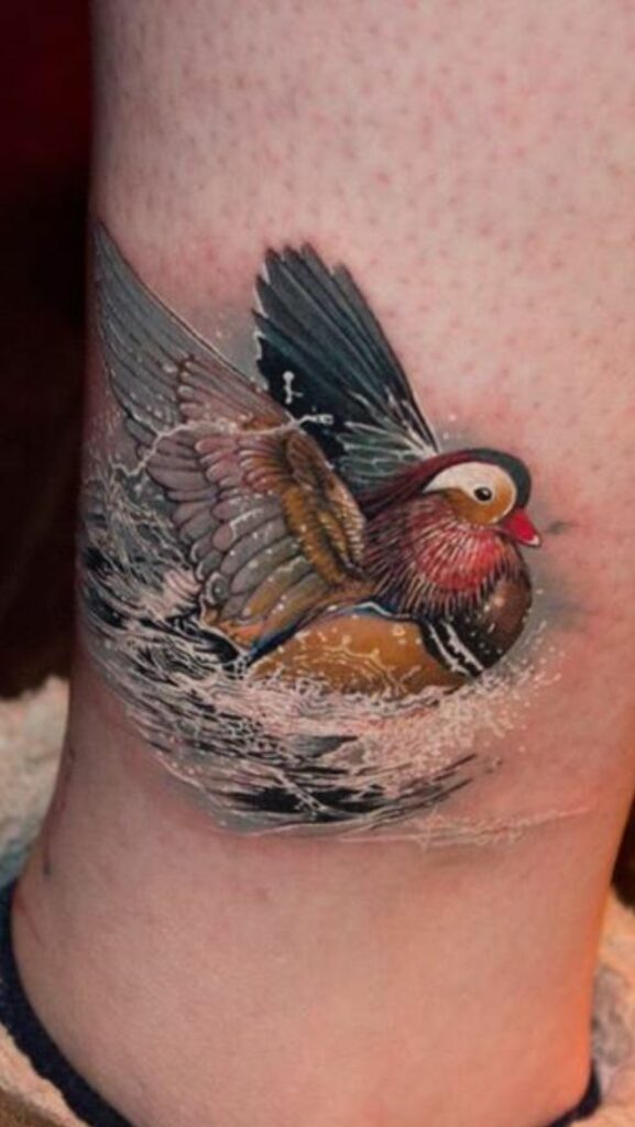Duck Tattoo 141