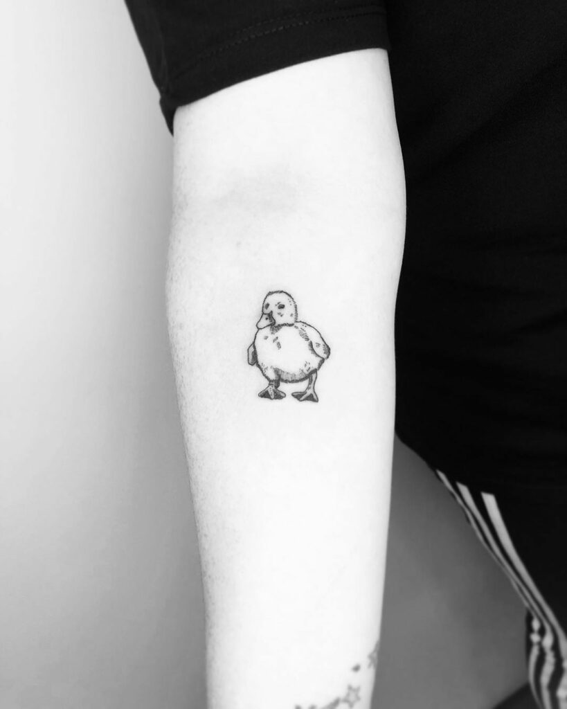 Duck Tattoo 171