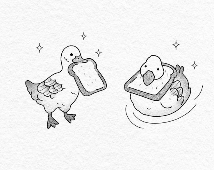 Duck Tattoo 185