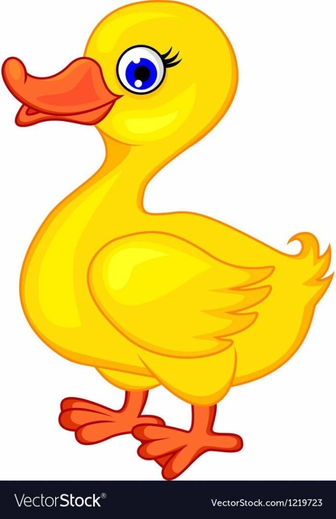 Duck Tattoo 186