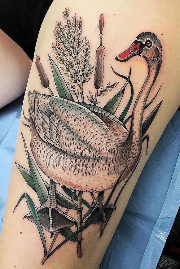 Duck Tattoo 51