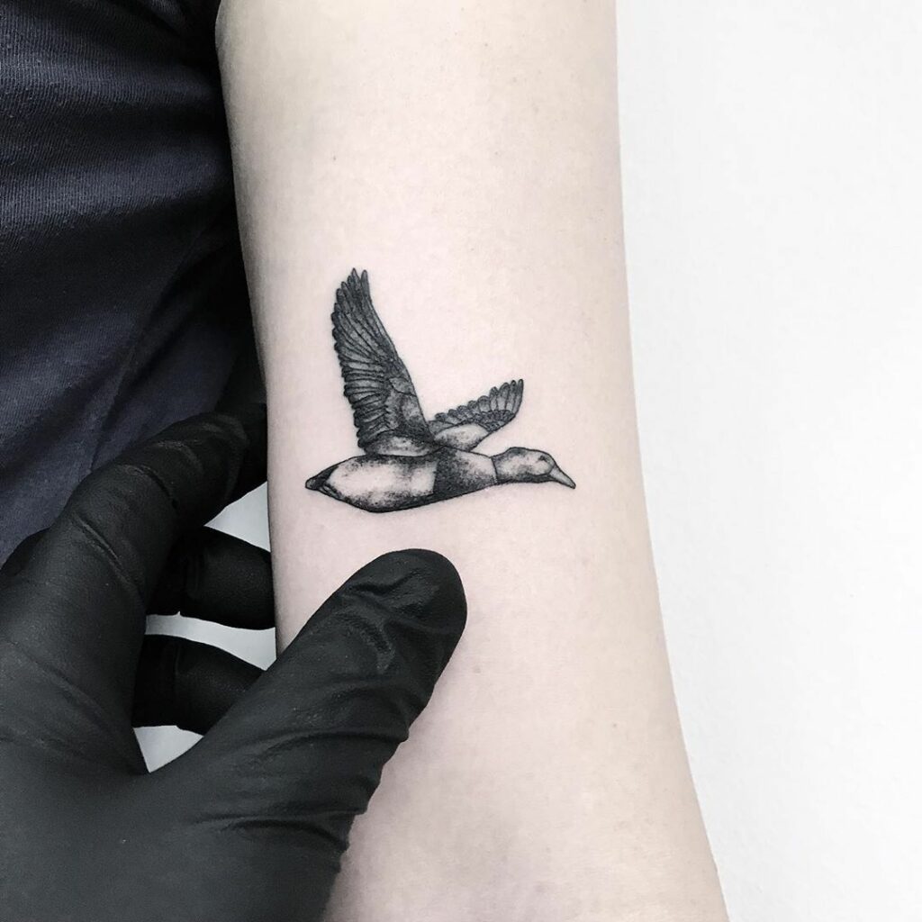 Duck Tattoo 91