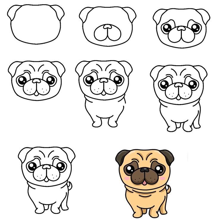 Pug Tattoos 101