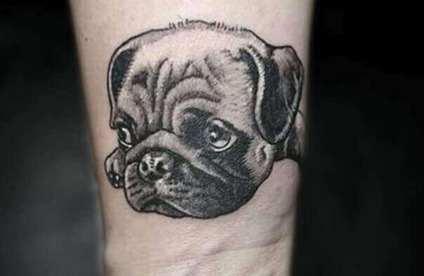 Pug Tattoos 13