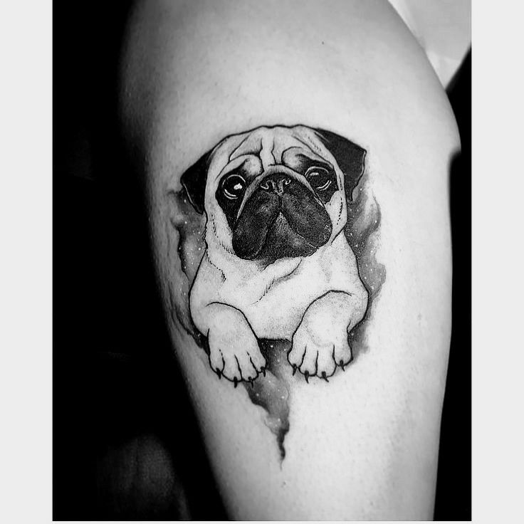 Pug Tattoos 138