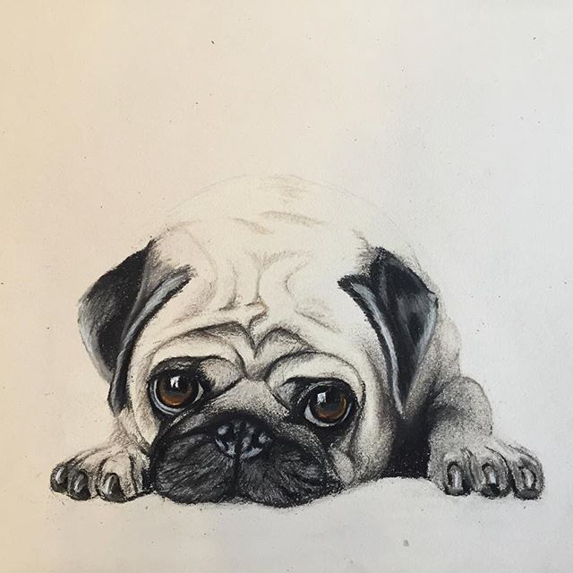 Pug Tattoos 139