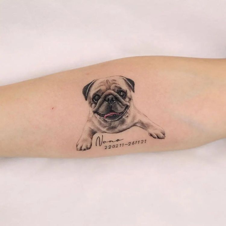 Pug Tattoos 193