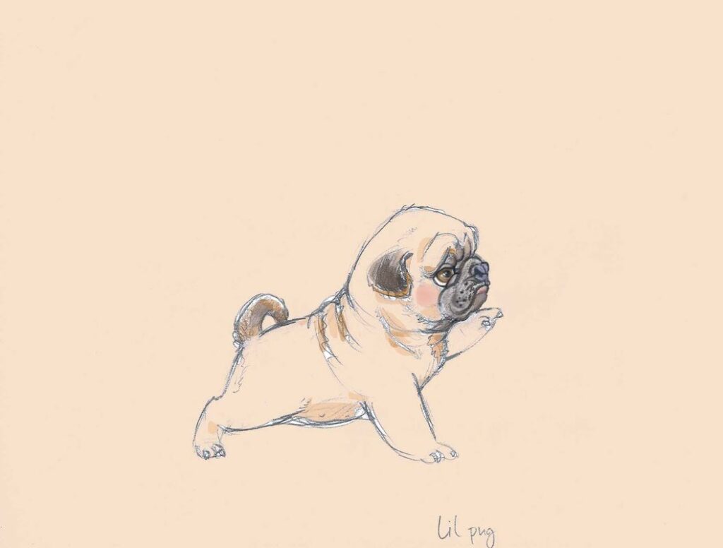 Pug Tattoos 195