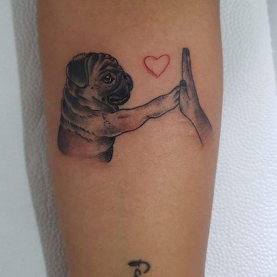 Pug Tattoos 198