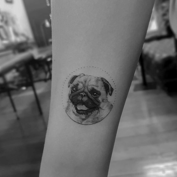 Pug Tattoos 210