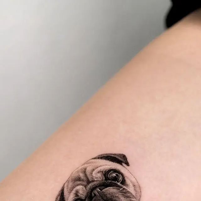 Pug Tattoos 219