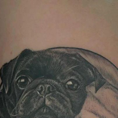 Pug Tattoos 222