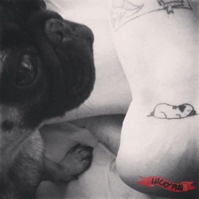 Pug Tattoos 228