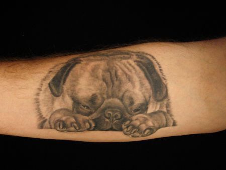 Pug Tattoos 238