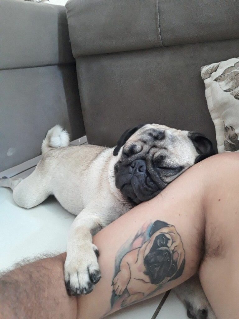 Pug Tattoos 50