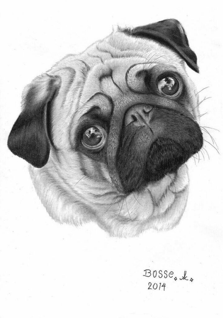 Pug Tattoos 54