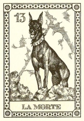 Cerebrus Tattoo 145