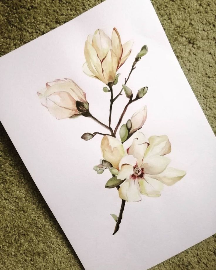 Magnolia Tattoo 119