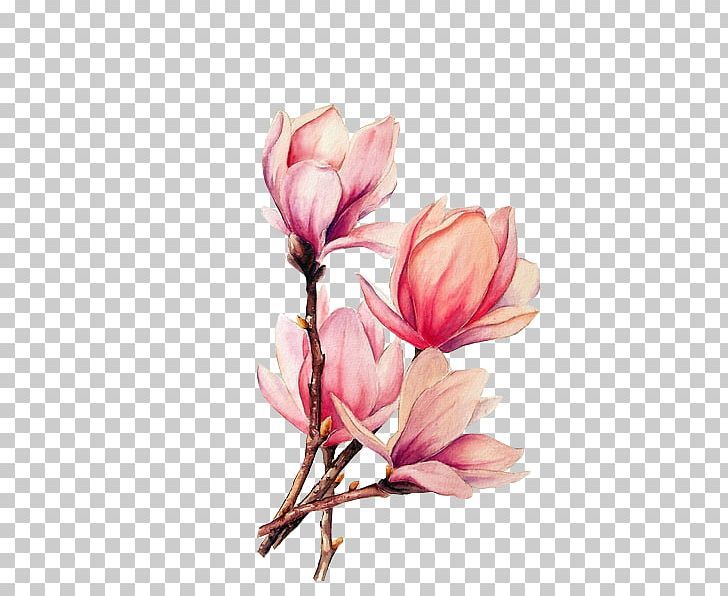 Magnolia Tattoo 141