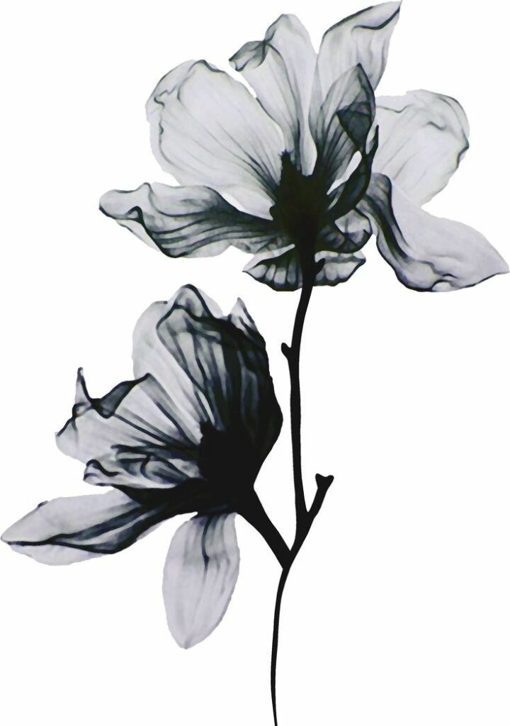 Magnolia Tattoo 163