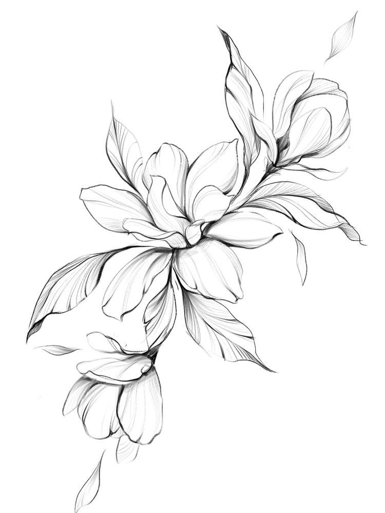 Magnolia Tattoo 165