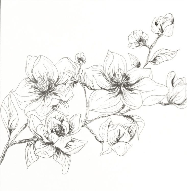 Magnolia Tattoo 168