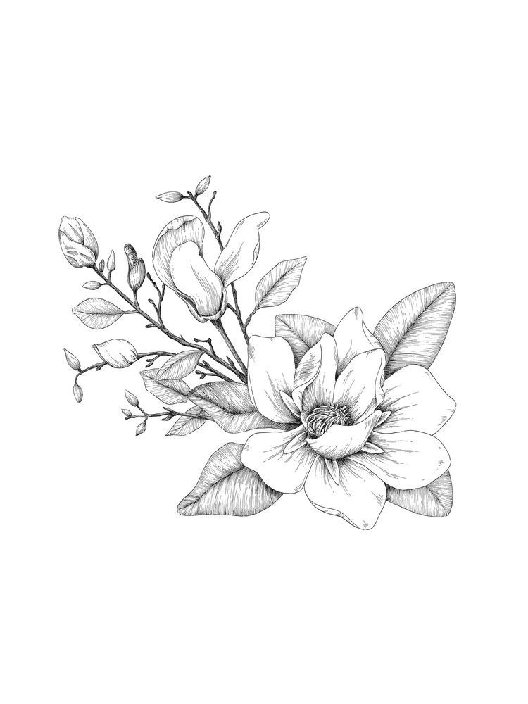 Magnolia Tattoo 185